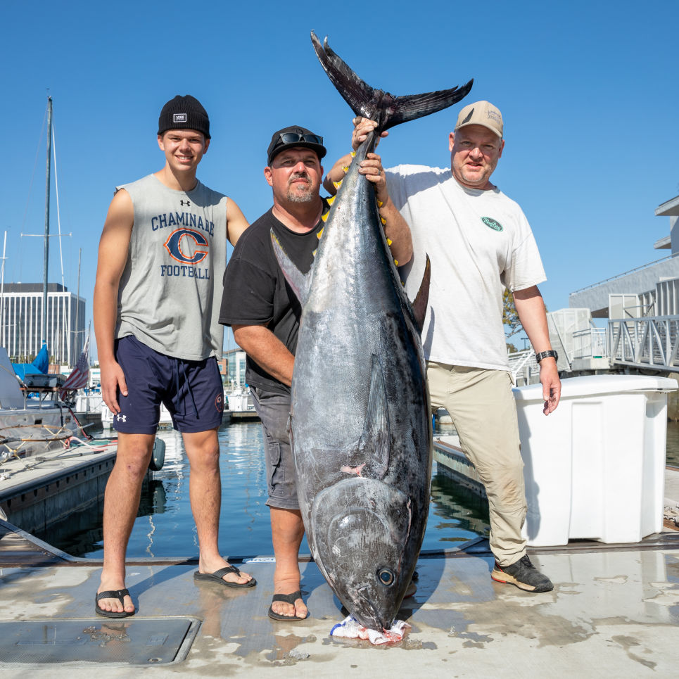 Fin Fetish BFT 9 10 21